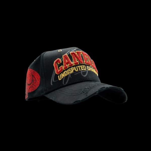 anadir-un-titulo-zip-18 DANDY HATS x CANELO "POUND FOR POUND"