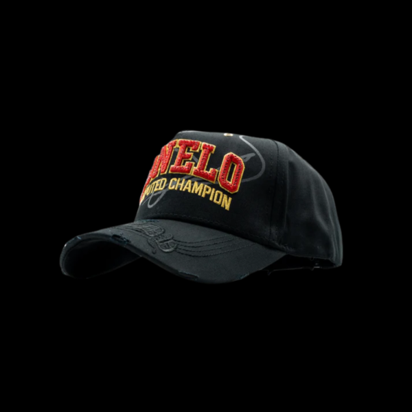 anadir-un-titulo-zip-20 DANDY HATS x CANELO "POUND FOR POUND"